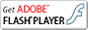 ADOBE FLASH PLAYER
